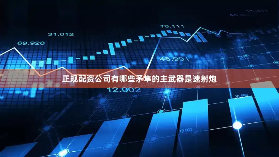 正规配资公司有哪些矛隼的主武器是速射炮