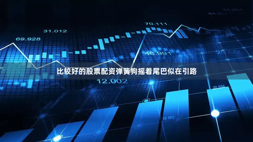 比较好的股票配资弹簧狗摇着尾巴似在引路
