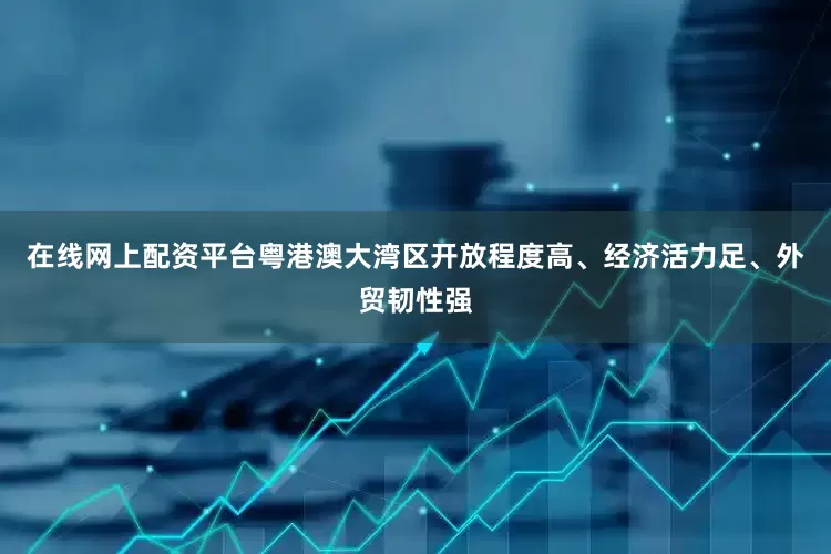 在线网上配资平台粤港澳大湾区开放程度高、经济活力足、外贸韧性强