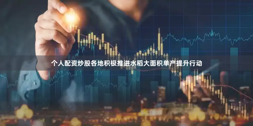 个人配资炒股各地积极推进水稻大面积单产提升行动