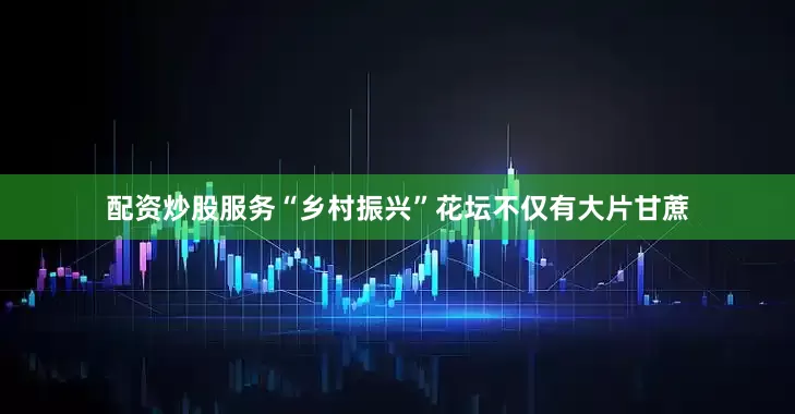 配资炒股服务“乡村振兴”花坛不仅有大片甘蔗